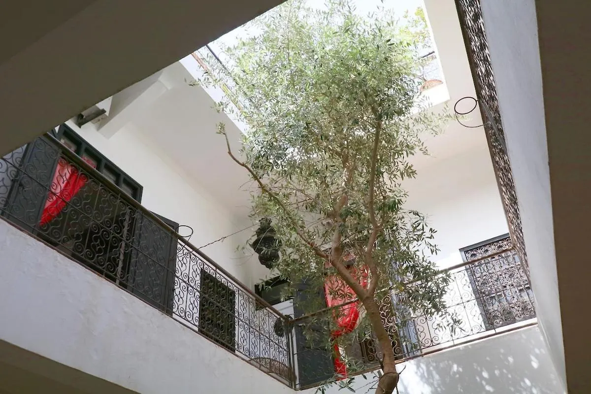 Villa Riad Xcix, Basin, 3 Bedrooms In Medina Excluded Marrakesh Morocco