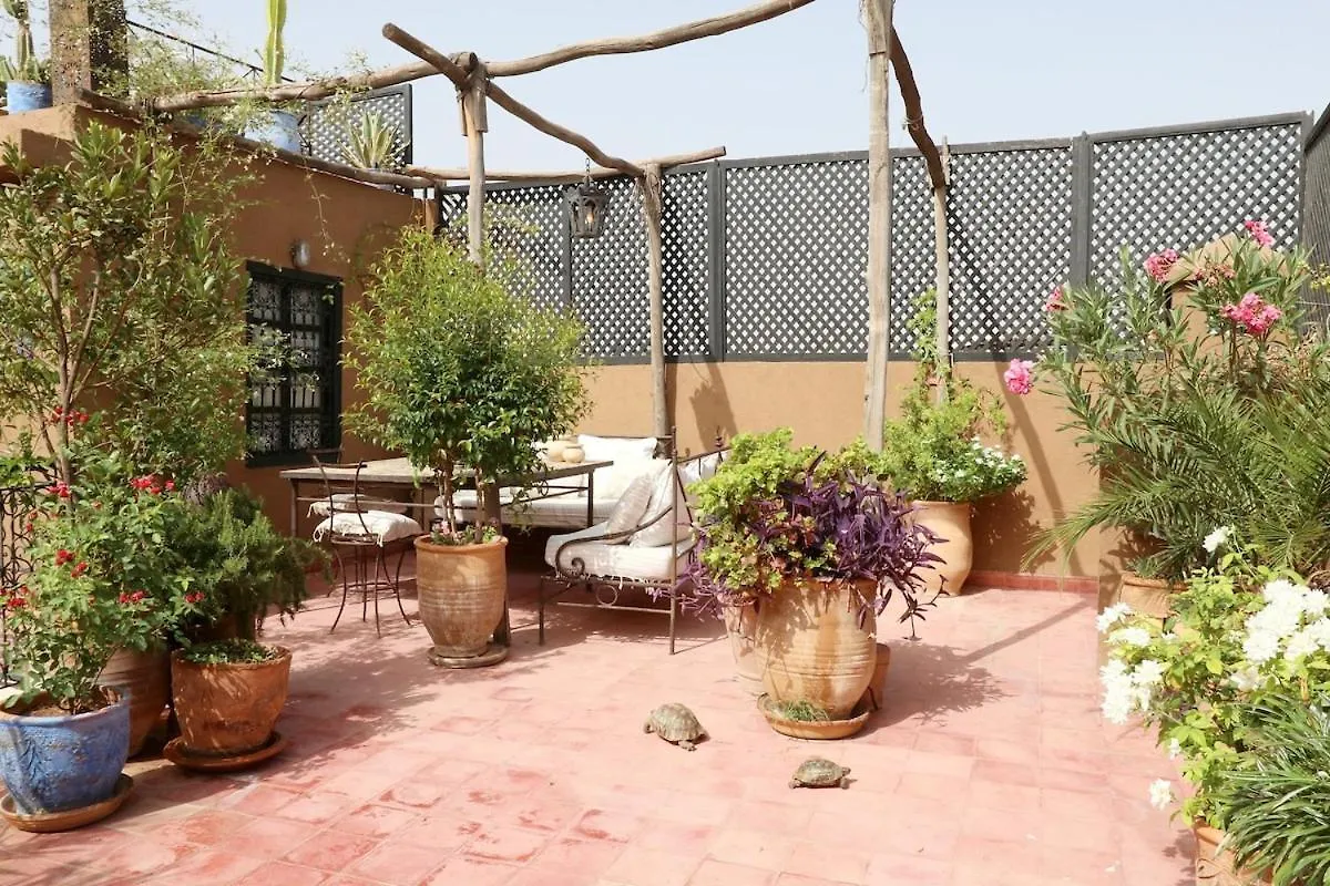 Riad Xcix, Basin, 3 Bedrooms In Medina Excluded Marrakesh Morocco