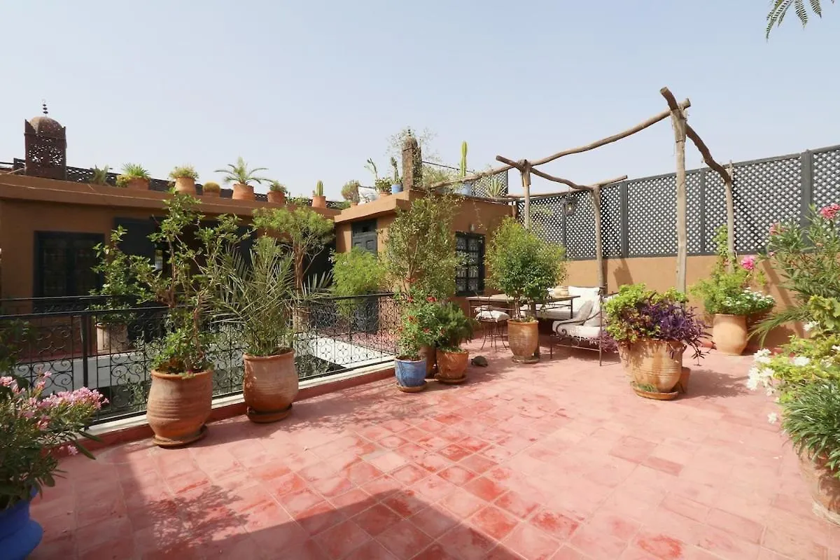 Riad Xcix, Basin, 3 Bedrooms In Medina Excluded Marrakesh