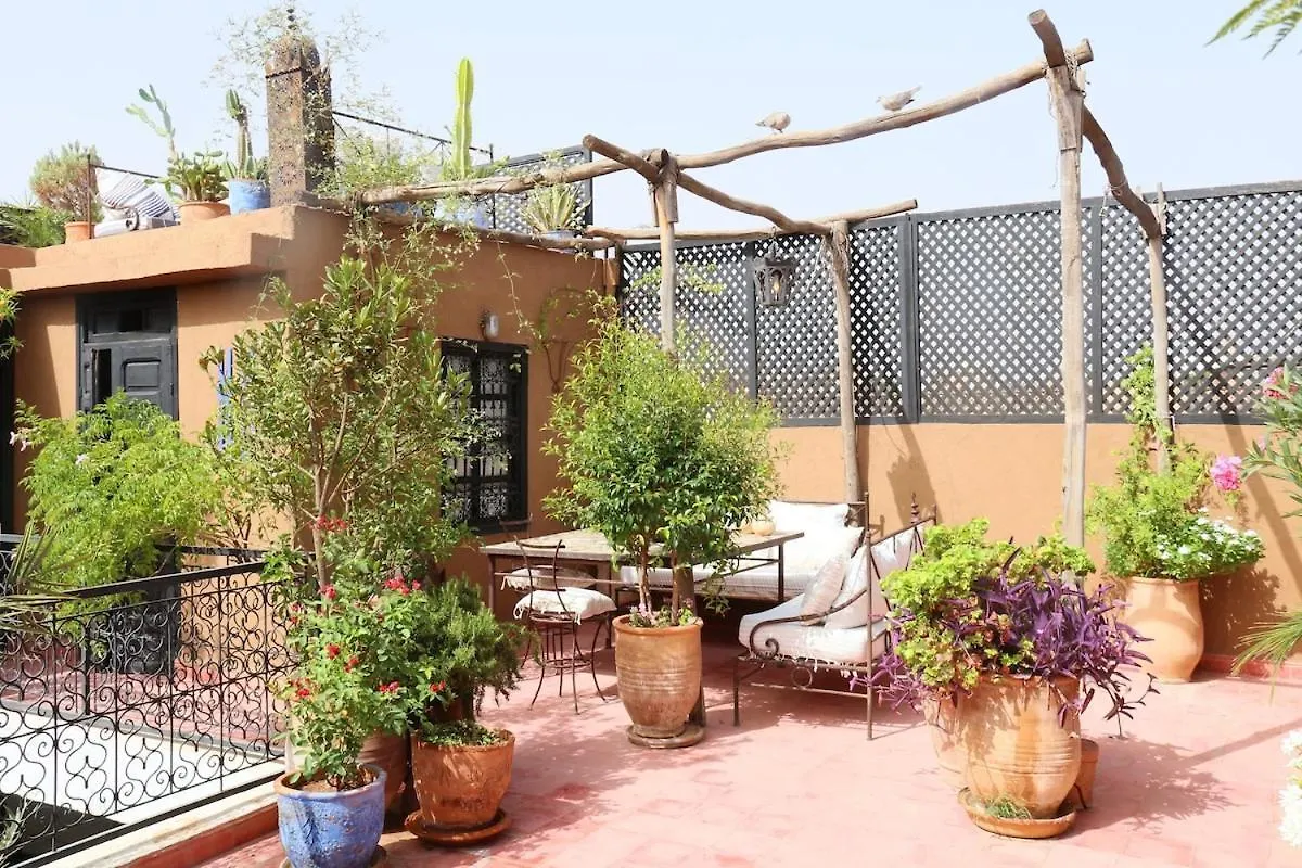 Riad Xcix, Basin, 3 Bedrooms In Medina Excluded Marrakesh 0*,  Morocco