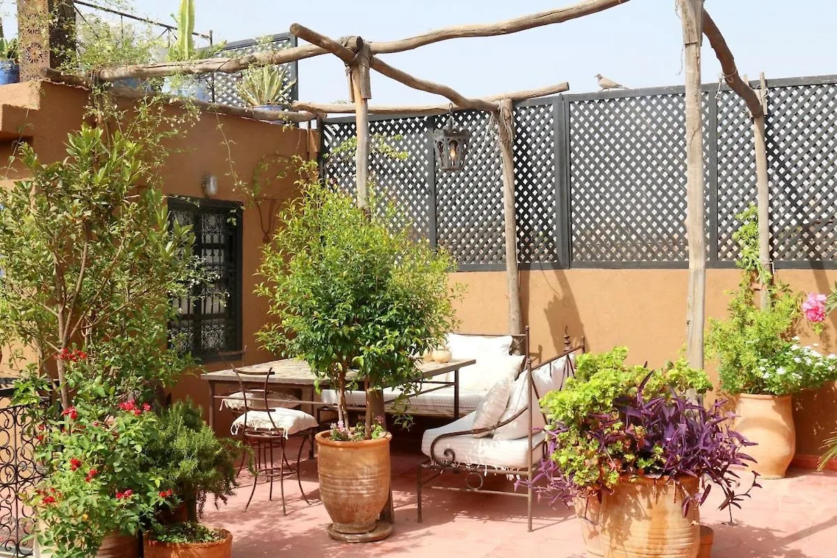 Villa Riad Xcix, Basin, 3 Bedrooms In Medina Excluded Marakeş Fas